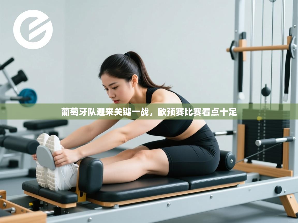 葡萄牙队迎来关键一战，欧预赛比赛看点十足