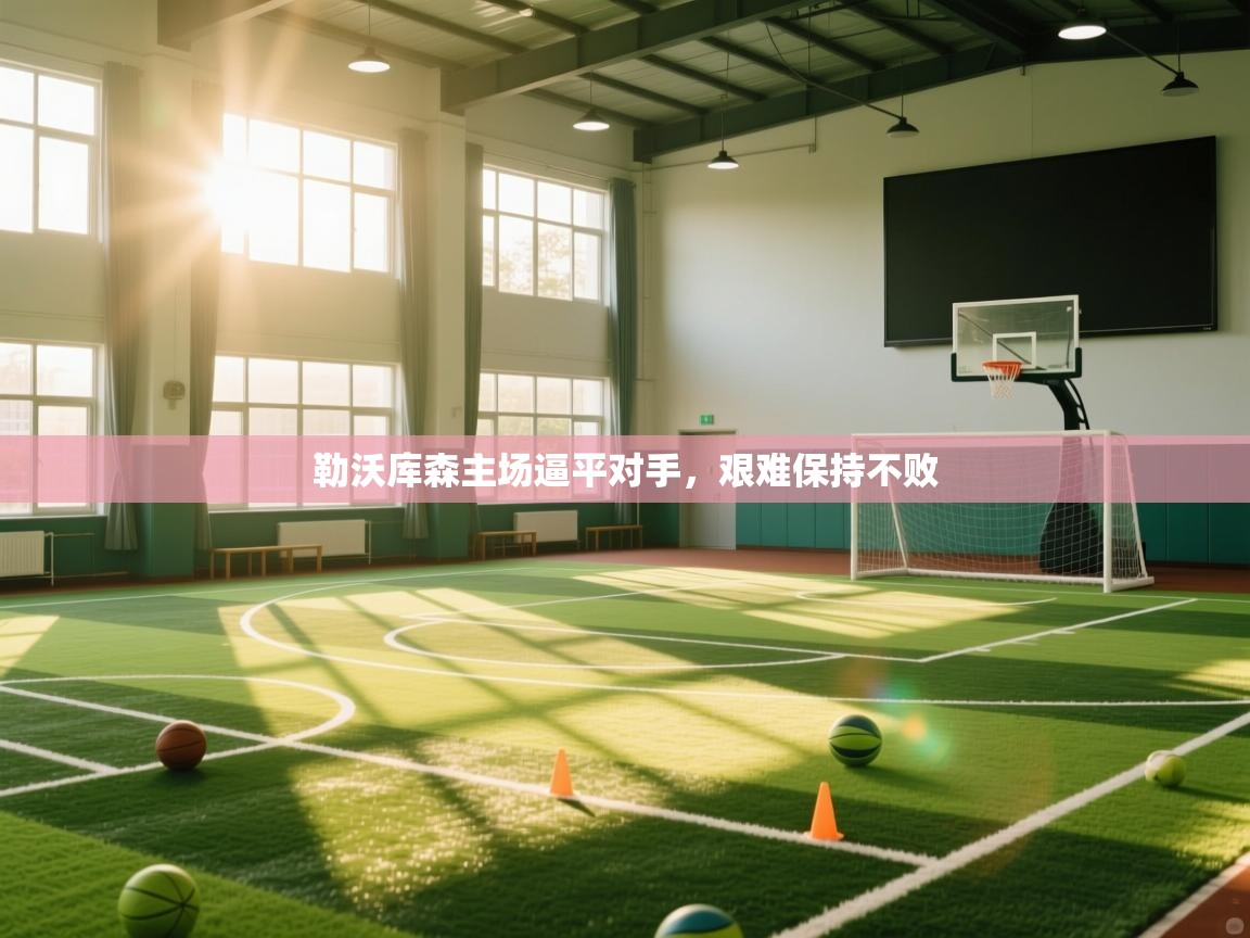 勒沃库森主场逼平对手,艰难保持不败 第1张