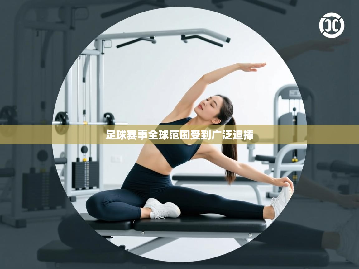 足球赛事全球范围受到广泛追捧 第2张