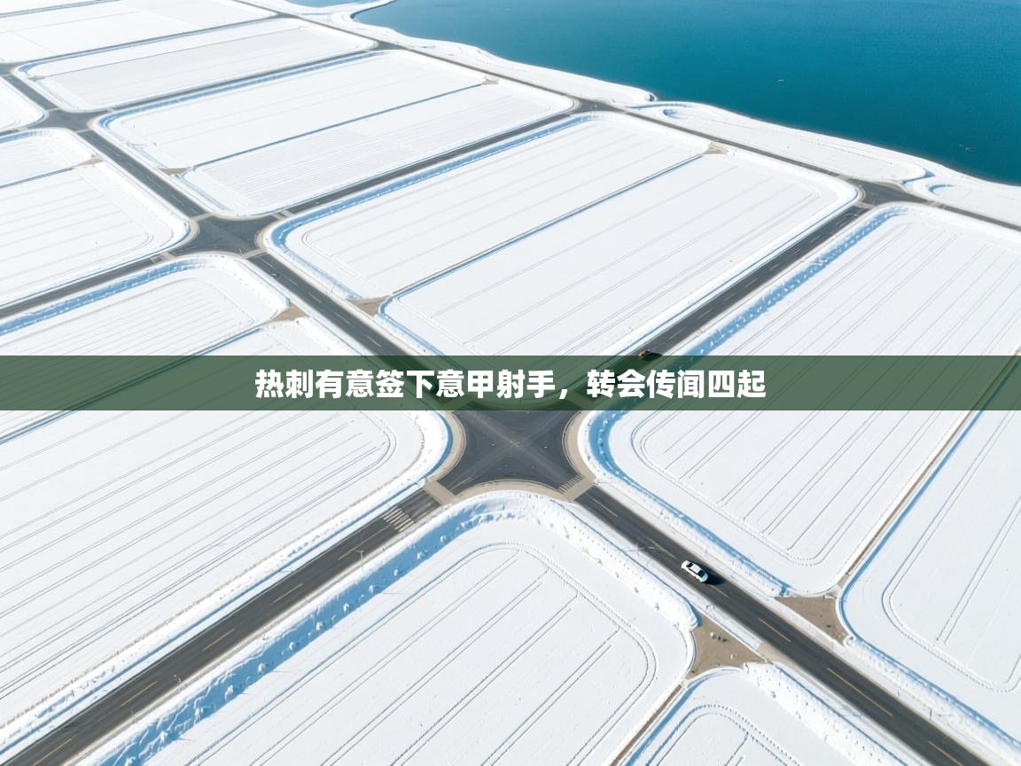 热刺有意签下意甲射手，转会传闻四起  第2张