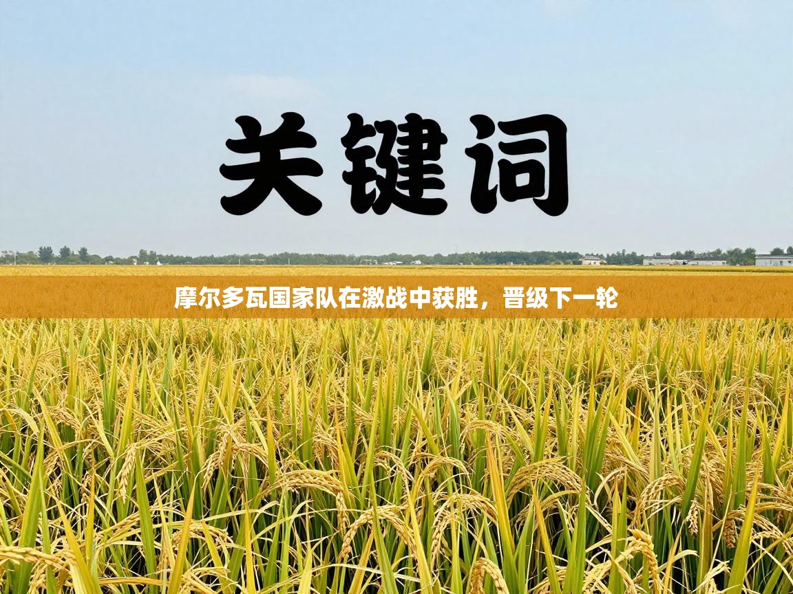 摩尔多瓦国家队在激战中获胜,晋级下一轮 第2张