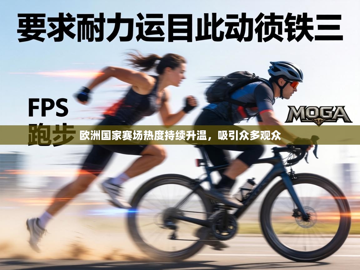 欧洲国家赛场热度持续升温，吸引众多观众  第1张